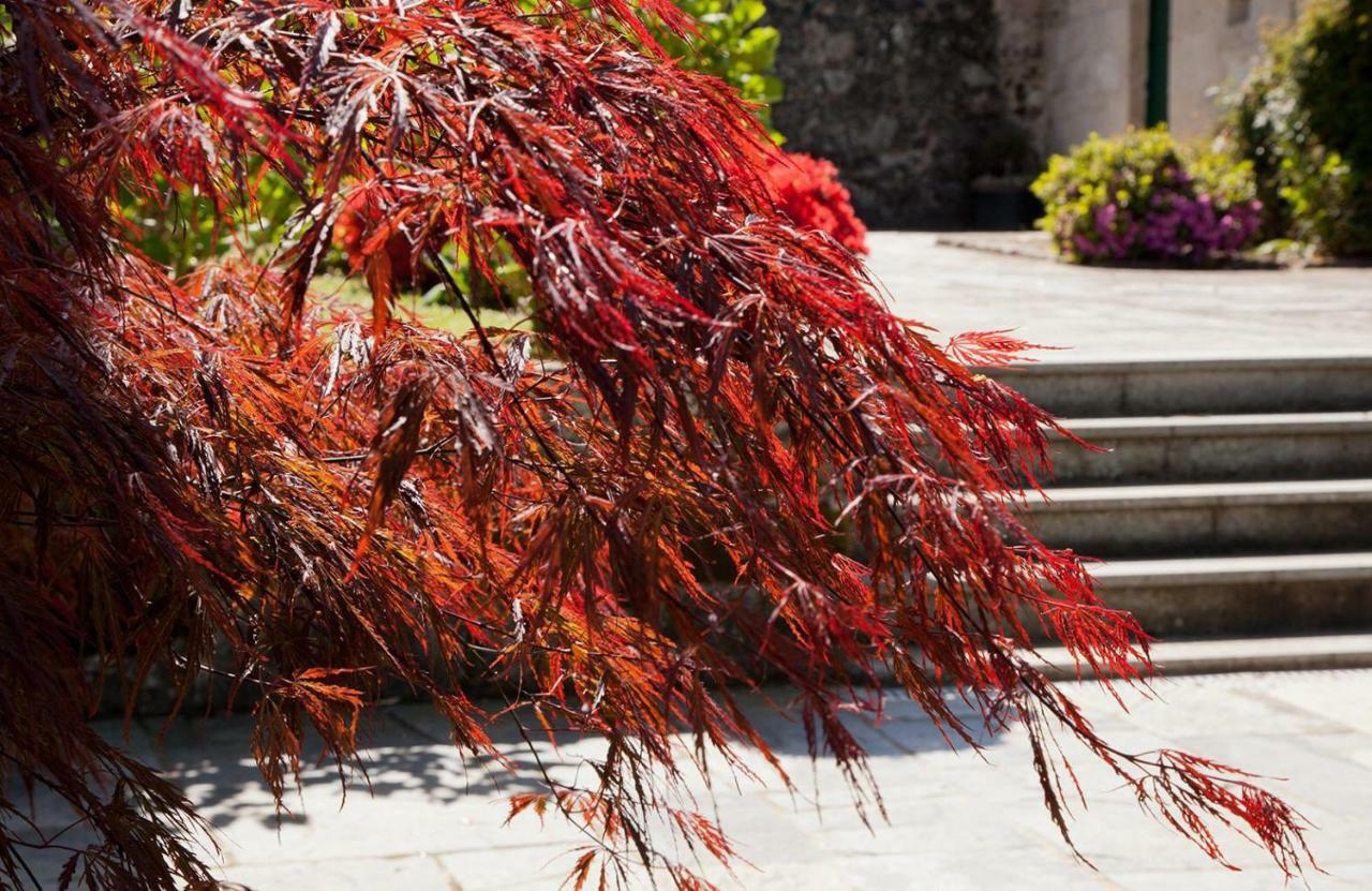 Jardines Pazo A Fabrica Guest House Celanova Bagian luar foto