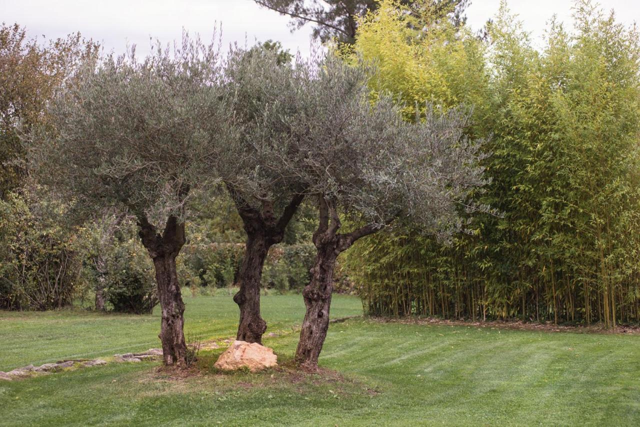 Jardines Pazo A Fabrica Guest House Celanova Bagian luar foto